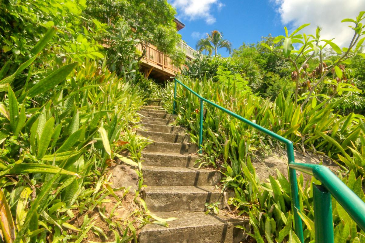 46 Location villa piscine Marinique_ chemin vers mer